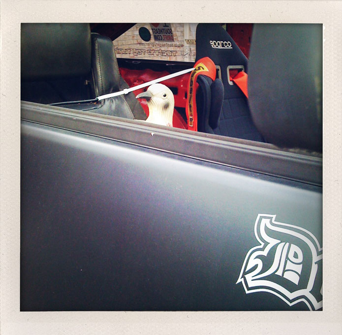 Chris Rhoad - Knoxville Move